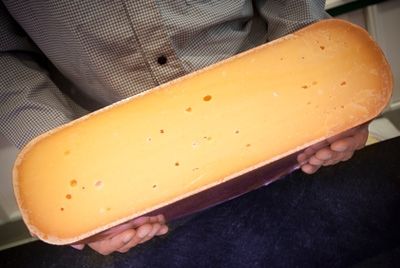 Ученые выяснили влияние сыра на мужскую плодовитость