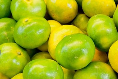 Растительная пища положительно влияет на тело и дух