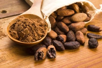 Какао защищает клетки мозга