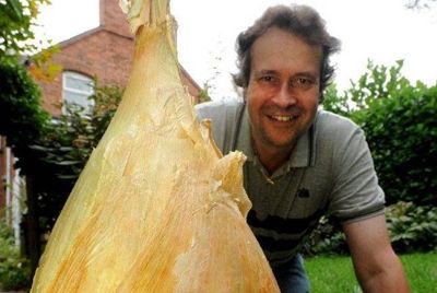 Самая большая в мире луковица весит 8,5 кг