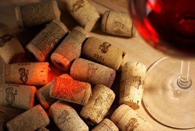Итальянские ученые научились бороться с пробковой болезнью вина