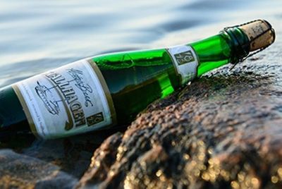 Ученые воссоздали пиво, найденное на корабле, который затонул в 1842 году