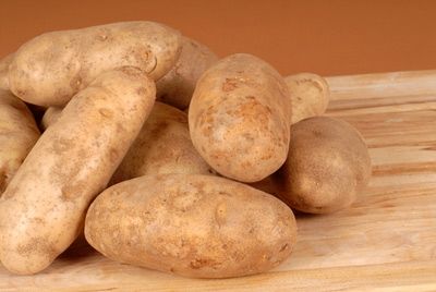 Картофель и злаки – секрет эволюции человеческого мозга