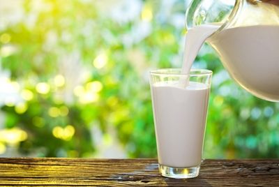 Почти 4% молочной продукции в России является поддельной