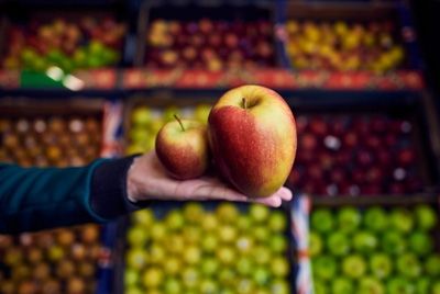 В британском супермаркете появились огромные яблоки