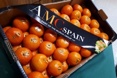 В Испании представили самый сладкий сорт мандаринов в мире