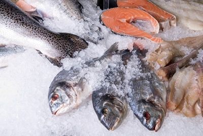 Правительство намерено увеличить потребление рыбы среди россиян