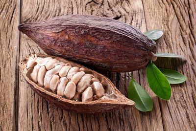 Ученые обнаружили в скорлупе какао-бобов соединения, сжигающие жир