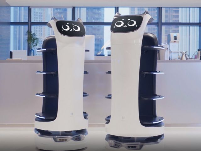 Китайская компания представила робота-официанта, похожего на кошку