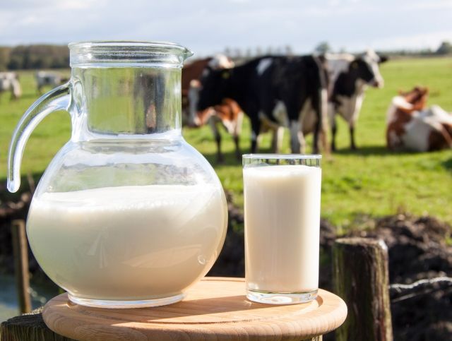 Эксперты ожидают падения цен на молоко во всем мире