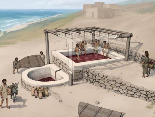 Ученые обнаружили в Ливане самую древнюю винодельню