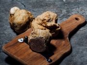 Французские исследователи научились выращивать белые трюфели

