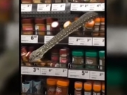 Гигантский питон прятался на полке со специями в супермаркете на северо-западе Сиднея
 
