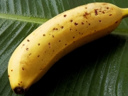 Японские ученые вырастили бананы со съедобной кожурой