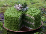 Кондитер из Айдахо готовит красочные торты, вдохновляясь дикой природой

