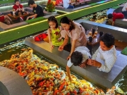 Во Вьетнаме открыли кафе в виде аквариума с живыми рыбками
