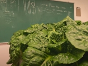 В Канаде семья выращивает свежие овощи в старой школе