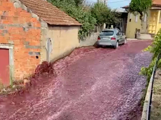 По португальским улицам течет река красного вина 