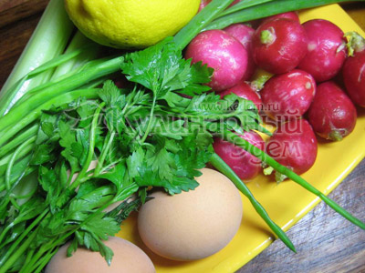 Ингредиенты для приготовления салата из редиса с яйцом и зеленью