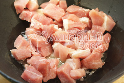 Мясо порезать кусочками и обжарить на подсолнечном масле с мелко нашинкованным луком