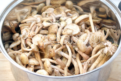 2 кг грибов опят перебрать и хорошо промыть.