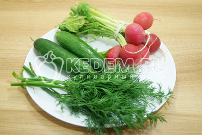 Овощи и зелень промыть и обсушить. Салат с редисом и огурцом