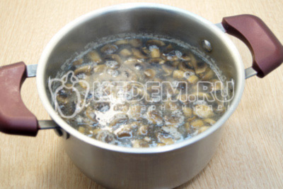 Добавить грибы с луком в кастрюлю и варить 5-7 минут.
