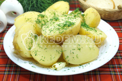 Отварной молодой картофель с укропом готов
