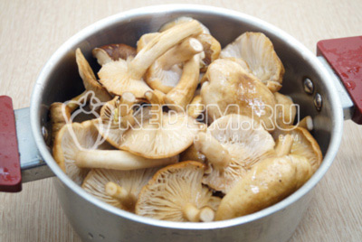 Переложить грибы в кастрюлю, залить водой и проставить варить.