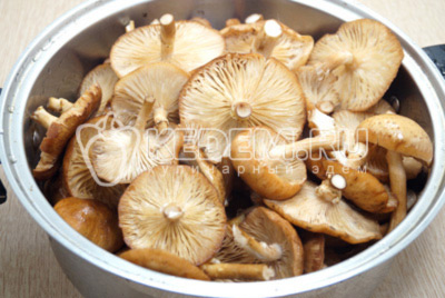 Хорошо промыть грибы опята и откинуть на дуршлаг. Переложить грибы в кастрюлю, залить холодной водой и проставить варить.