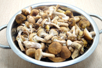 1 кг грибов опят перебрать от мусора и червивых грибов.