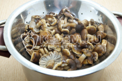 Откинуть отварные грибы на дуршлаг и промыть, дать воде стечь.