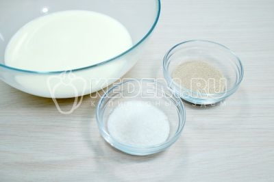 В большую миску влить 300 миллилитров молока, добавить 2 столовые ложки сахара, 10 грамм сухих дрожжей и 1/2 чайной ложки соли.