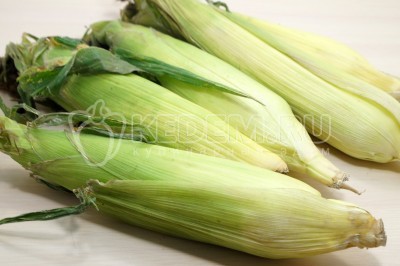 Чтобы приготовить кукурузу в фольге в духовке, нужно взять 5-6 початков кукурузы молочной спелости.