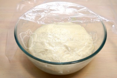 Выложить тесто для булочек в миску и смазать маслом сверху. Накрыть пищевой пленкой.