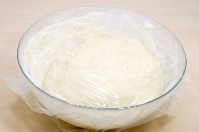 Выложить тесто в миску и накрыть пищевой пленкой. Оставить тесто на 15 минут.