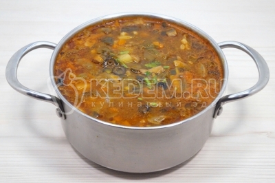 Дать солянке настояться 10-15 минут.