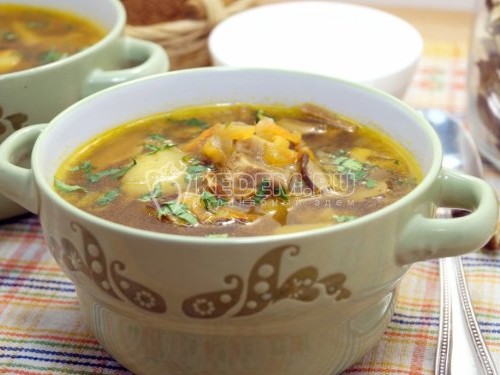 Крем-суп из белых грибов: как приготовить, рецепты