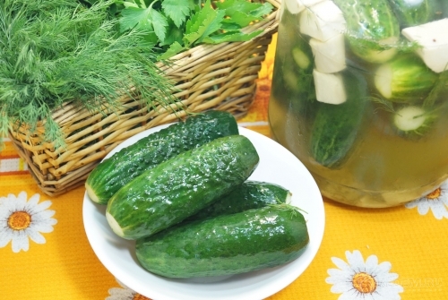 Хрустящие малосольные огурцы в банке