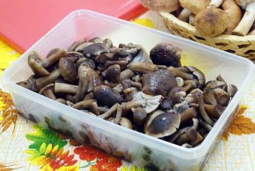 Опята замороженные на зиму