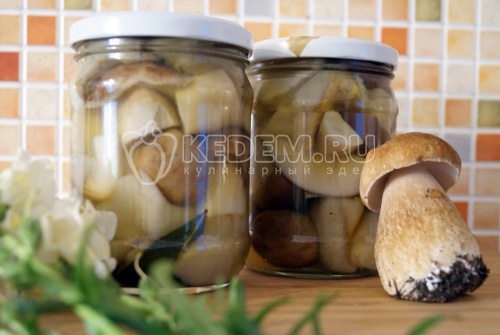 10 легких рецептов маринованных белых грибов на зиму